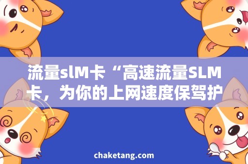 流量slM卡“高速流量SLM卡，为你的上网速度保驾护航！”