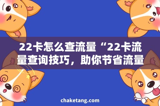 22卡怎么查流量“22卡流量查询技巧，助你节省流量开支”