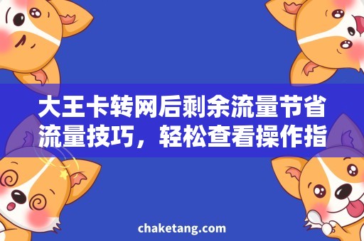 大王卡转网后剩余流量节省流量技巧，轻松查看操作指南