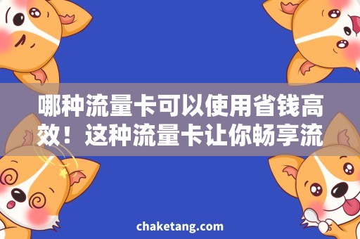 哪种流量卡可以使用省钱高效！这种流量卡让你畅享流量，轻松解决上网问题