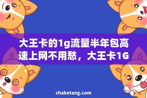 大王卡的1g流量半年包高速上网不用愁，大王卡1G半年包让你畅享无阻