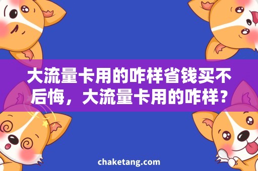 大流量卡用的咋样省钱买不后悔，大流量卡用的咋样？详细分析购买攻略