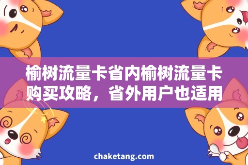 榆树流量卡省内榆树流量卡购买攻略，省外用户也适用！