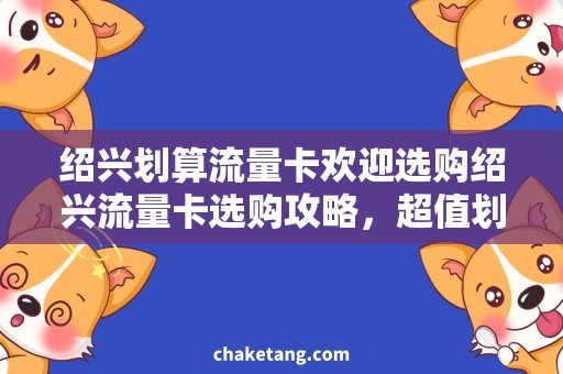 绍兴划算流量卡欢迎选购绍兴流量卡选购攻略，超值划算一网打尽！