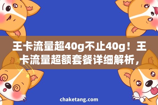 王卡流量超40g不止40g！王卡流量超额套餐详细解析，超值上网体验必备