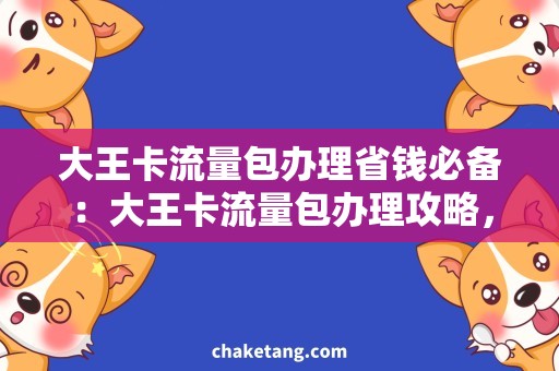 大王卡流量包办理省钱必备：大王卡流量包办理攻略，尽享高速上网！