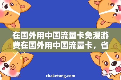 在国外用中国流量卡免漫游费在国外用中国流量卡，省钱出国游！