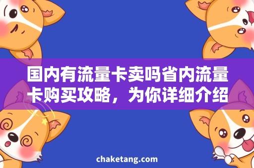 国内有流量卡卖吗省内流量卡购买攻略，为你详细介绍流量卡种类及购买方式