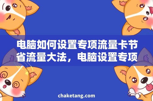 电脑如何设置专项流量卡节省流量大法，电脑设置专项流量卡详解