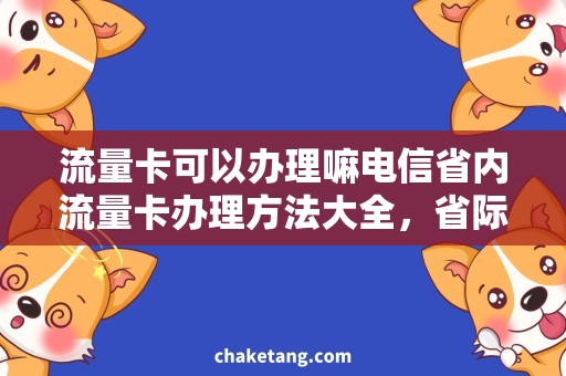 流量卡可以办理嘛电信省内流量卡办理方法大全，省际流量卡能否开通？