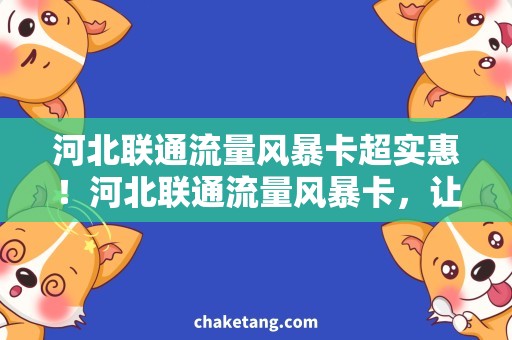 河北联通流量风暴卡超实惠！河北联通流量风暴卡，让你想用就用！