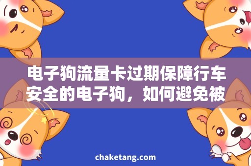 电子狗流量卡过期保障行车安全的电子狗，如何避免被流量卡过期困扰？