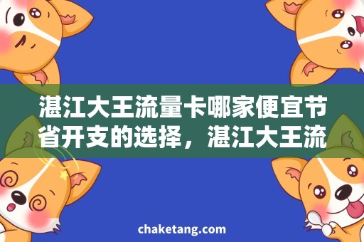 湛江大王流量卡哪家便宜节省开支的选择，湛江大王流量卡购买攻略