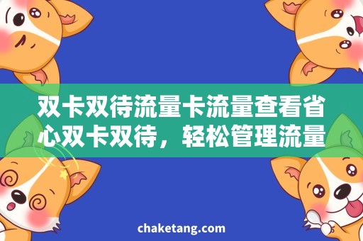 双卡双待流量卡流量查看省心双卡双待，轻松管理流量！