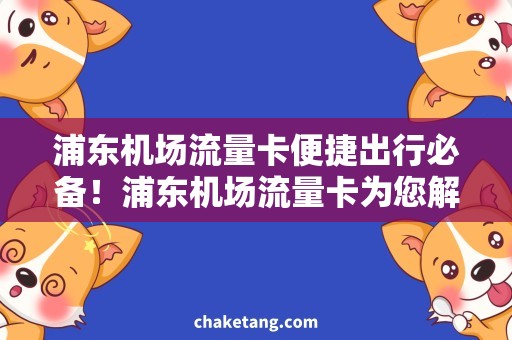 浦东机场流量卡便捷出行必备！浦东机场流量卡为您解决上网难题