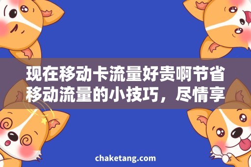 现在移动卡流量好贵啊节省移动流量的小技巧，尽情享受网上冲浪！