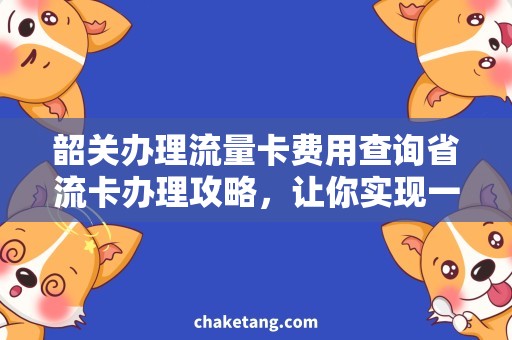 韶关办理流量卡费用查询省流卡办理攻略，让你实现一键流量查询