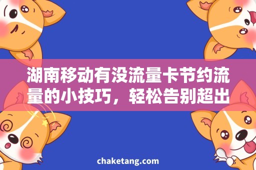 湖南移动有没流量卡节约流量的小技巧，轻松告别超出月费的烦恼