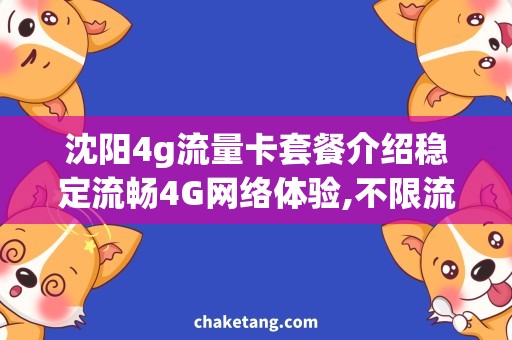 沈阳4g流量卡套餐介绍稳定流畅4G网络体验,不限流量套餐详述