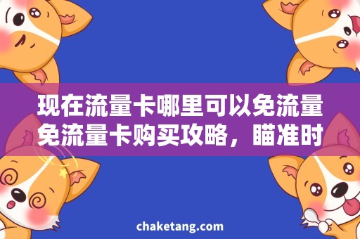 现在流量卡哪里可以免流量免流量卡购买攻略，瞄准时机省钱更轻松