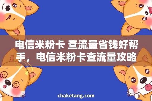 电信米粉卡 查流量省钱好帮手，电信米粉卡查流量攻略