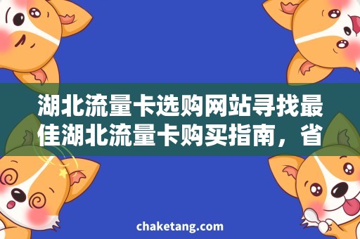 湖北流量卡选购网站寻找最佳湖北流量卡购买指南，省钱攻略大揭秘！