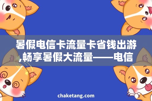 暑假电信卡流量卡省钱出游,畅享暑假大流量——电信卡流量卡详解