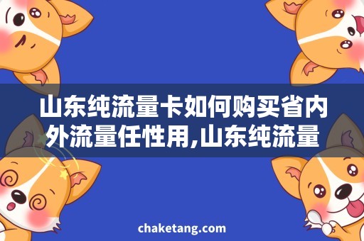 山东纯流量卡如何购买省内外流量任性用,山东纯流量卡购买攻略