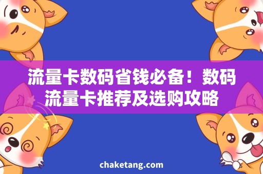 流量卡数码省钱必备！数码流量卡推荐及选购攻略