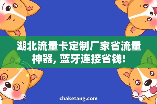 湖北流量卡定制厂家省流量神器, 蓝牙连接省钱!