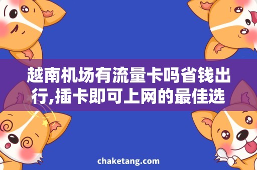 越南机场有流量卡吗省钱出行,插卡即可上网的最佳选择！