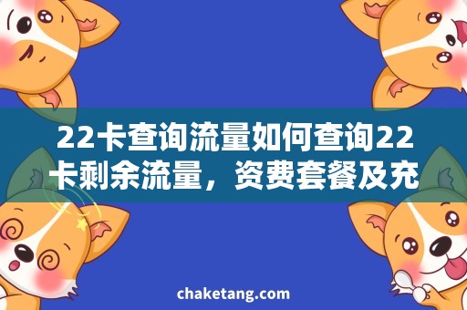 22卡查询流量如何查询22卡剩余流量，资费套餐及充值方式详解！