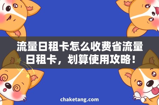 流量日租卡怎么收费省流量日租卡，划算使用攻略！