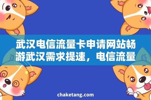 武汉电信流量卡申请网站畅游武汉需求提速，电信流量卡在线申请更便捷